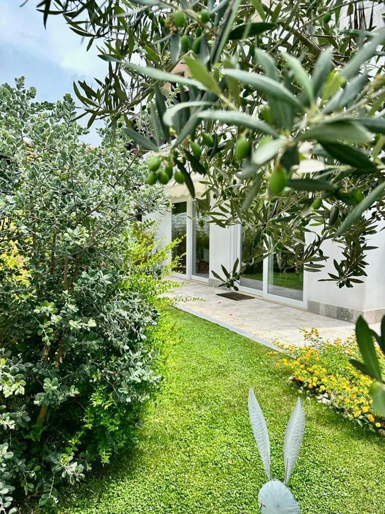 Villa Casa Mila White Marina di Cerveteri Exterior foto